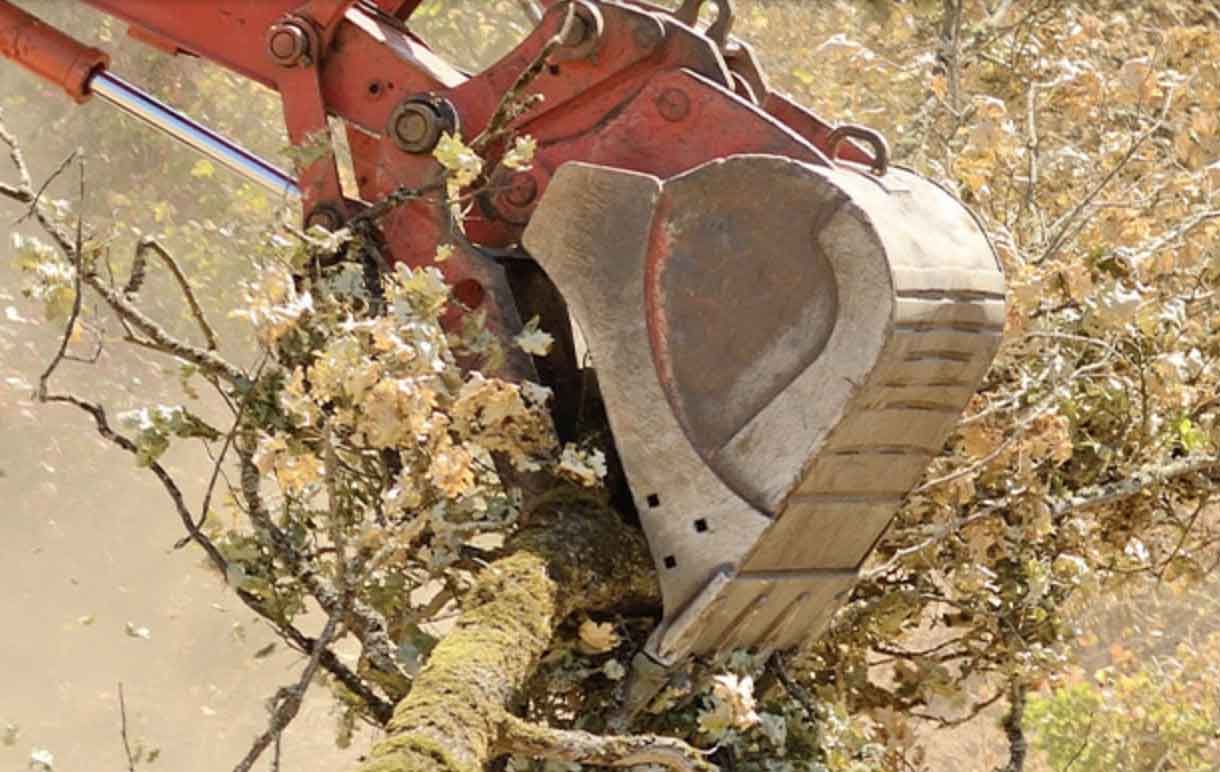 A big construction vehicle crushing bushes and branches